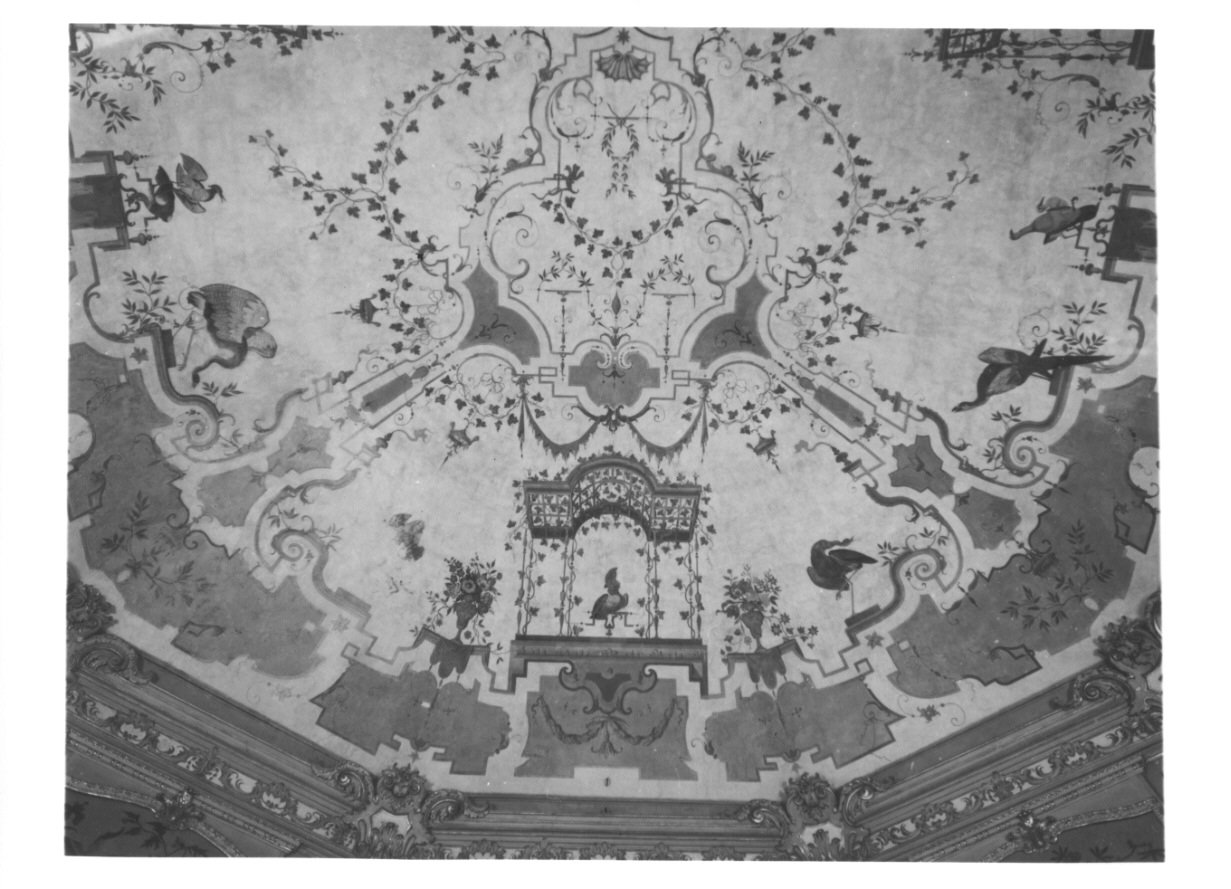 GROTTESCHE (soffitto dipinto, opera isolata) di Pozzo Giovanni Pietro (terzo quarto sec. XVIII)