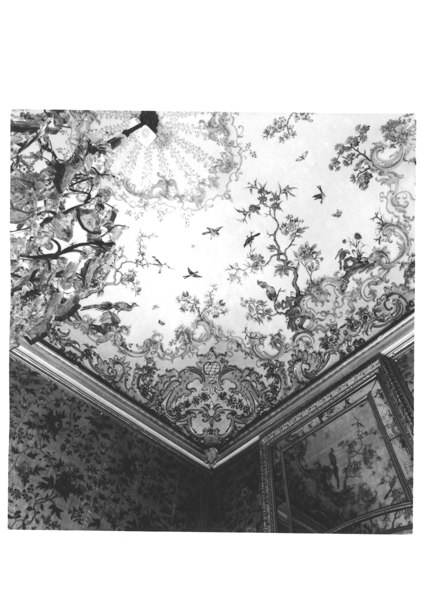 MOTIVI DECORATIVI VEGETALI E ANIMALI (soffitto dipinto, opera isolata) di Pozzo Giovanni Pietro (terzo quarto sec. XVIII)