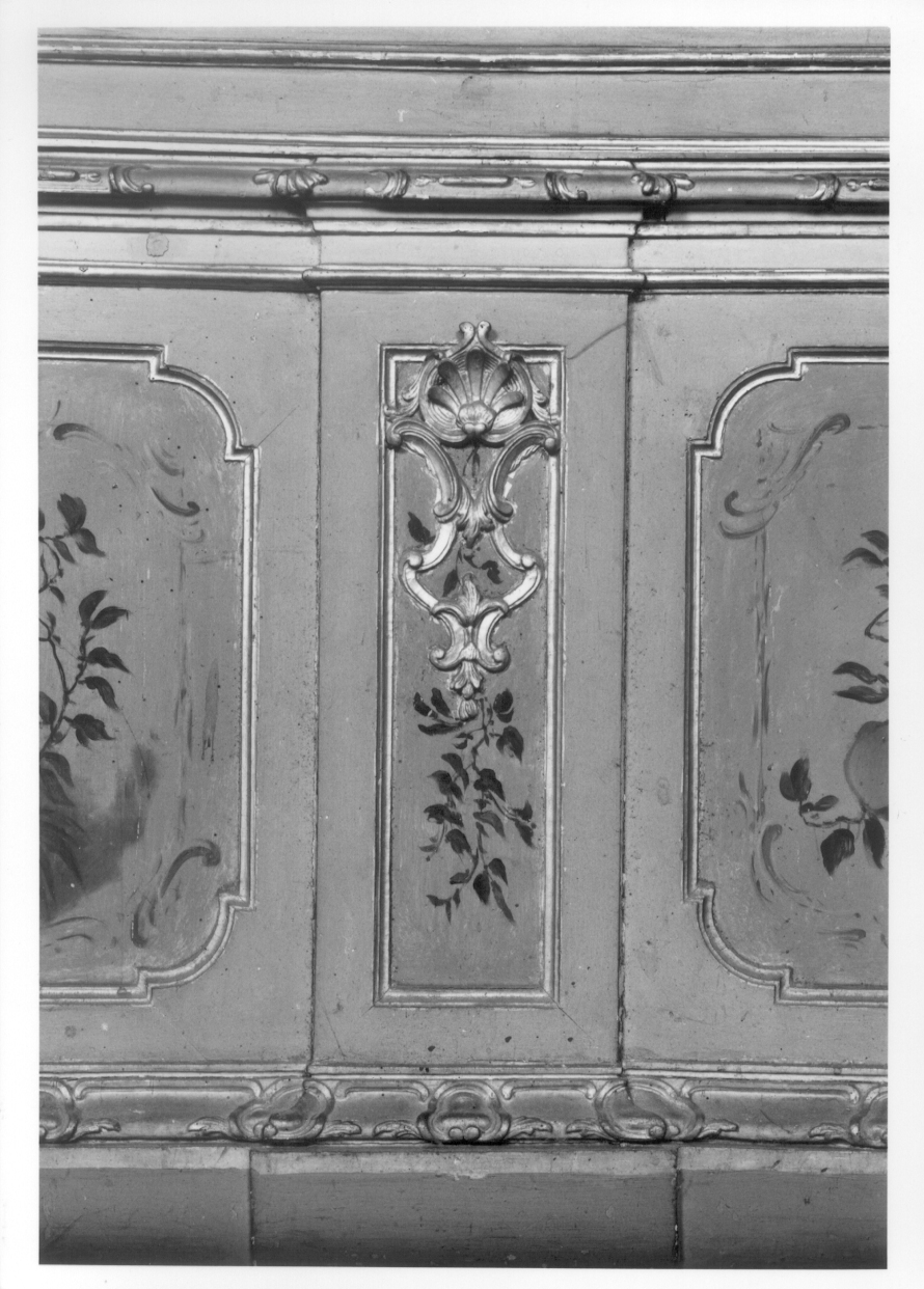 MOTIVI DECORATIVI VEGETALI (dipinto, elemento d'insieme) di Antoniani Francesco, Perego Gaetano - bottega piemontese (metà sec. XVIII)