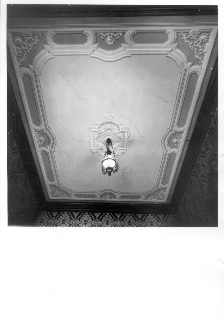 motivi decorativi vegetali stilizzati (soffitto dipinto, opera isolata) - ambito torinese (ultimo quarto sec. XIX)