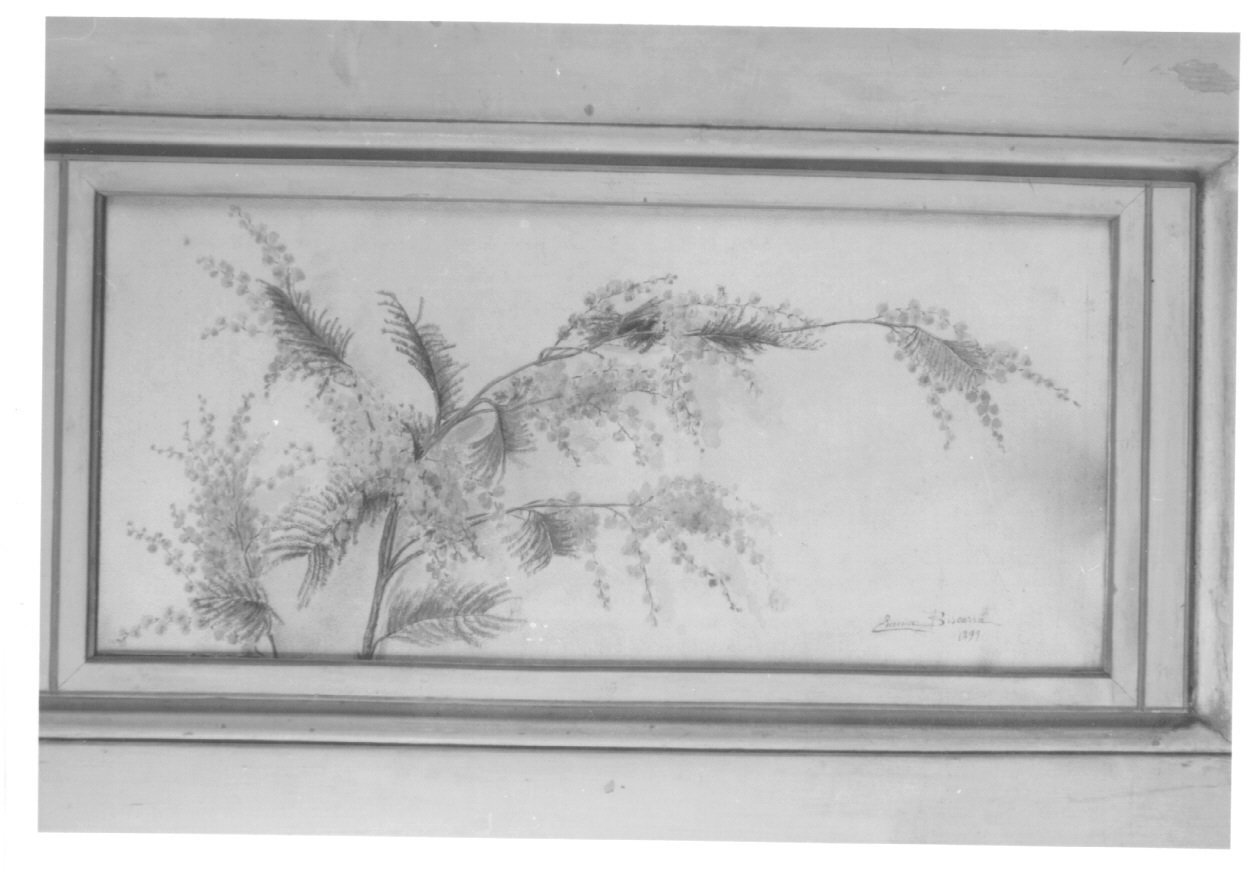 fiori (dipinto, elemento d'insieme) di Biscarra Emma (fine sec. XIX)