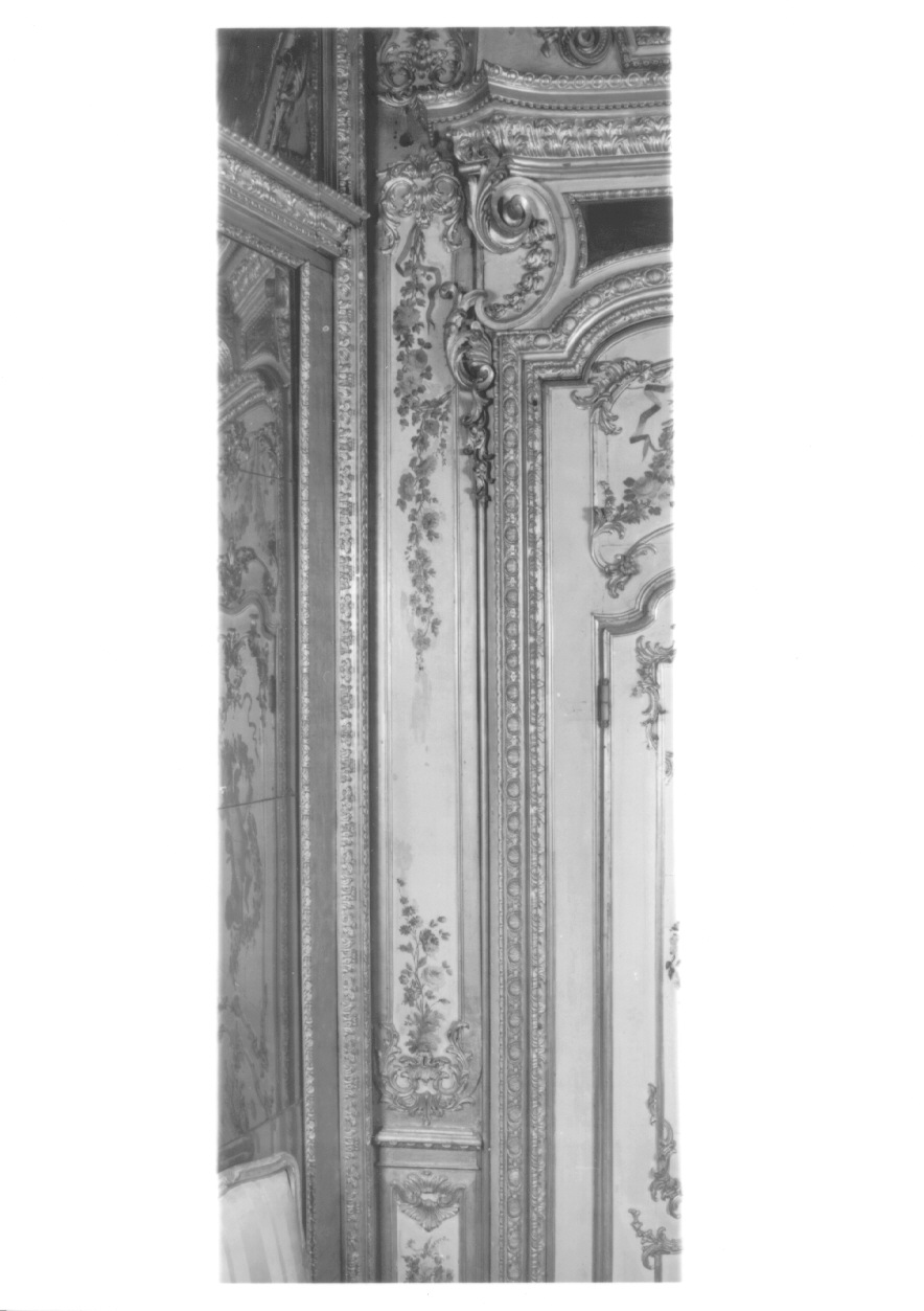 motivi decorativi floreali (dipinto, elemento d'insieme) di Beaumont Claudio Francesco (metà sec. XVIII)