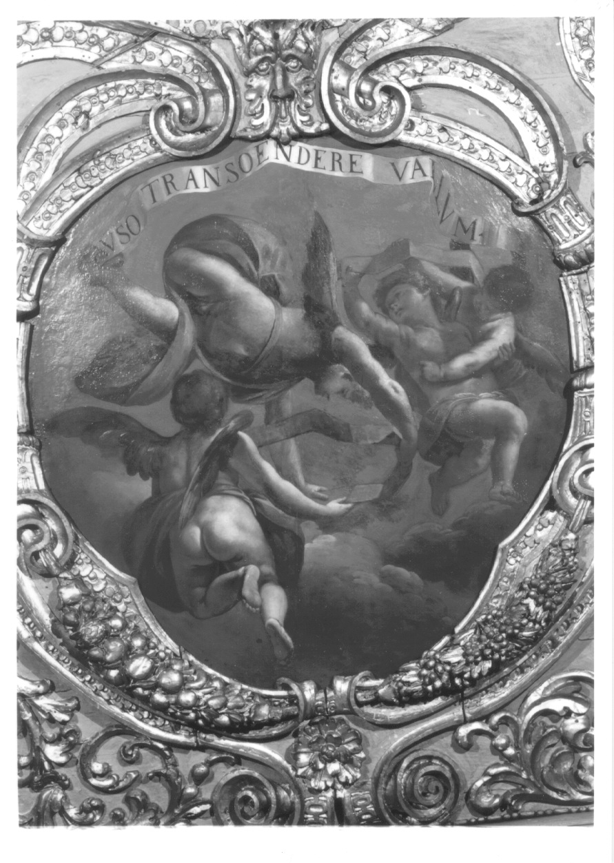 putti alati con imprese (dipinto, opera isolata) - ambito piemontese (terzo quarto sec. XVII)