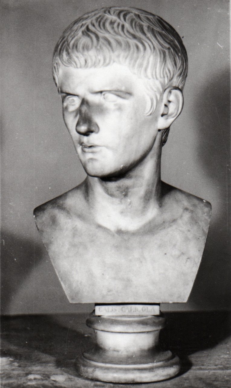busto ritratto di Caligola (busto, opera isolata) di Bogliani Giuseppe (prima metà sec. XIX)