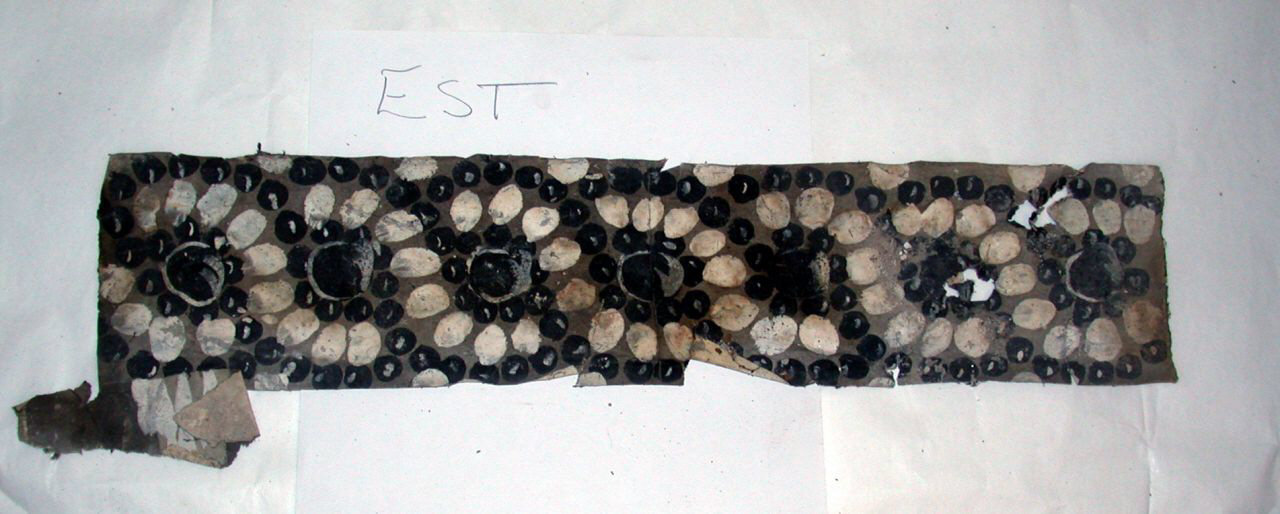 motivi decorativi a conchiglia, ciottoli, perle e rocce (decorazione pittorica, frammento) - ambito piemontese (sec. XVII)