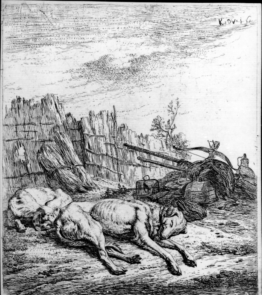 I cani, due cani addormentati in un prato (stampa) di Du Jardin Karel (terzo quarto sec. XVII)