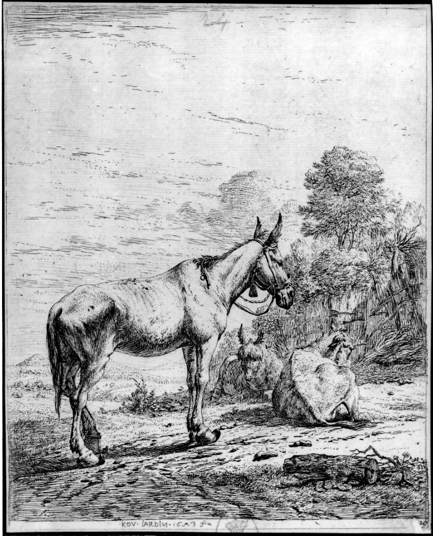 Il muletto con le campanelle, tre muli in un prato (stampa) di Du Jardin Karel (sec. XVII)