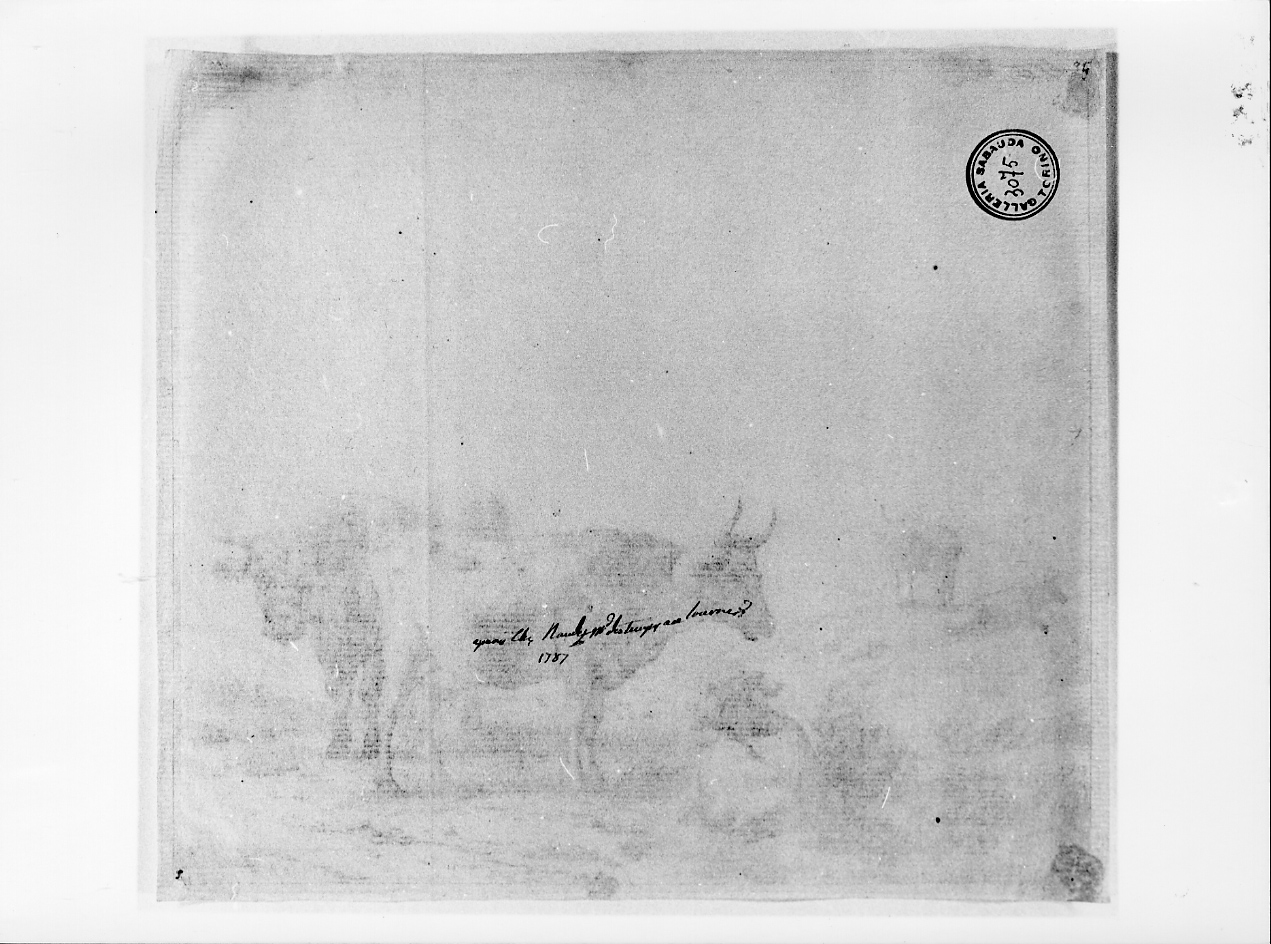 Le mucche, il toro e il vitello, tre mucche, un toro e un vitello in un prato (stampa) di Du Jardin Karel (terzo quarto sec. XVII)