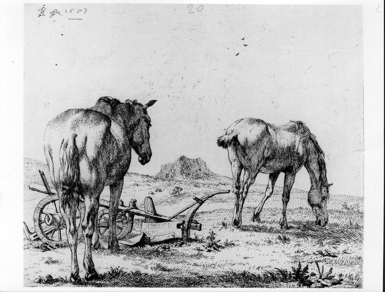 I due cavalli vicino all'aratro, due cavalli in un prato con aratro (stampa) di Du Jardin Karel (sec. XVII)