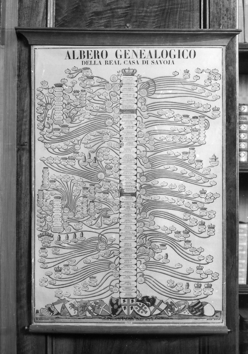 albero genealogico di Casa Savoia (stampa colorata a mano) di Nicolosino Marco, Avico (primo quarto sec. XIX)