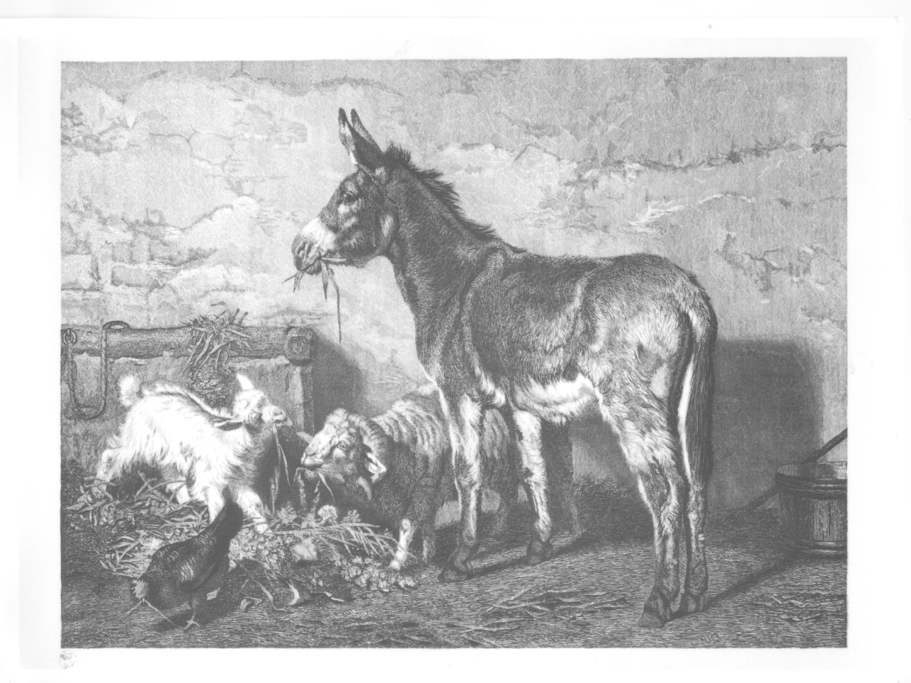 animali nella stalla (stampa) di Di Bartolo Francesco (secc. XIX/ XX)