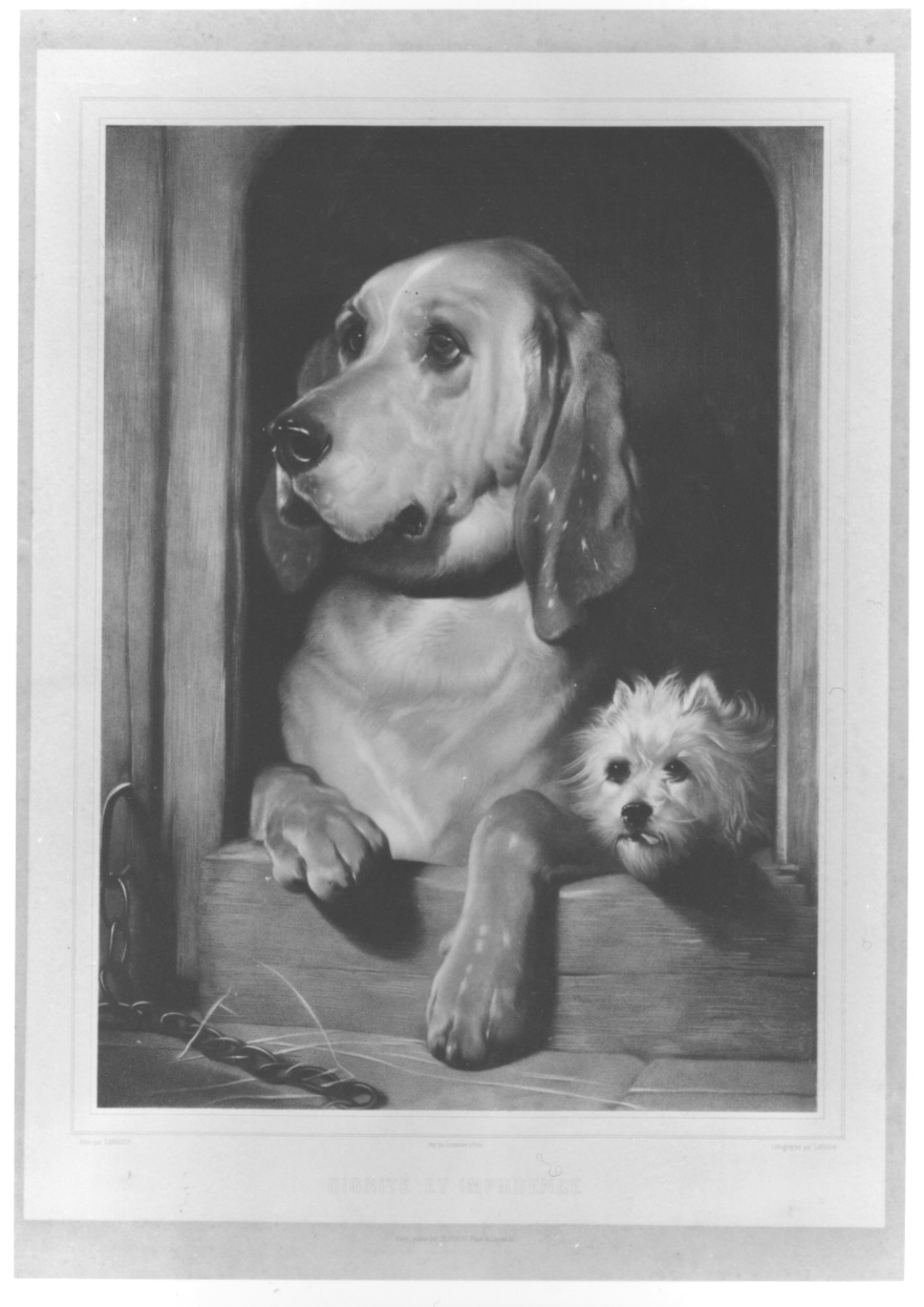 due cani nella cuccia (stampa) di Lafosse Adolphe, Landseer Edwin (prima metà sec. XIX)