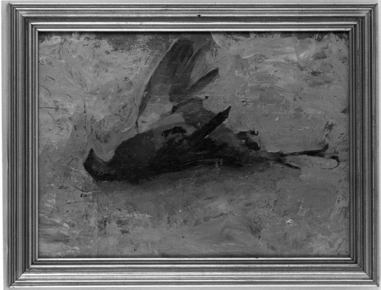 uccello morto (dipinto, opera isolata) di Boccardo Federico (sec. XIX)