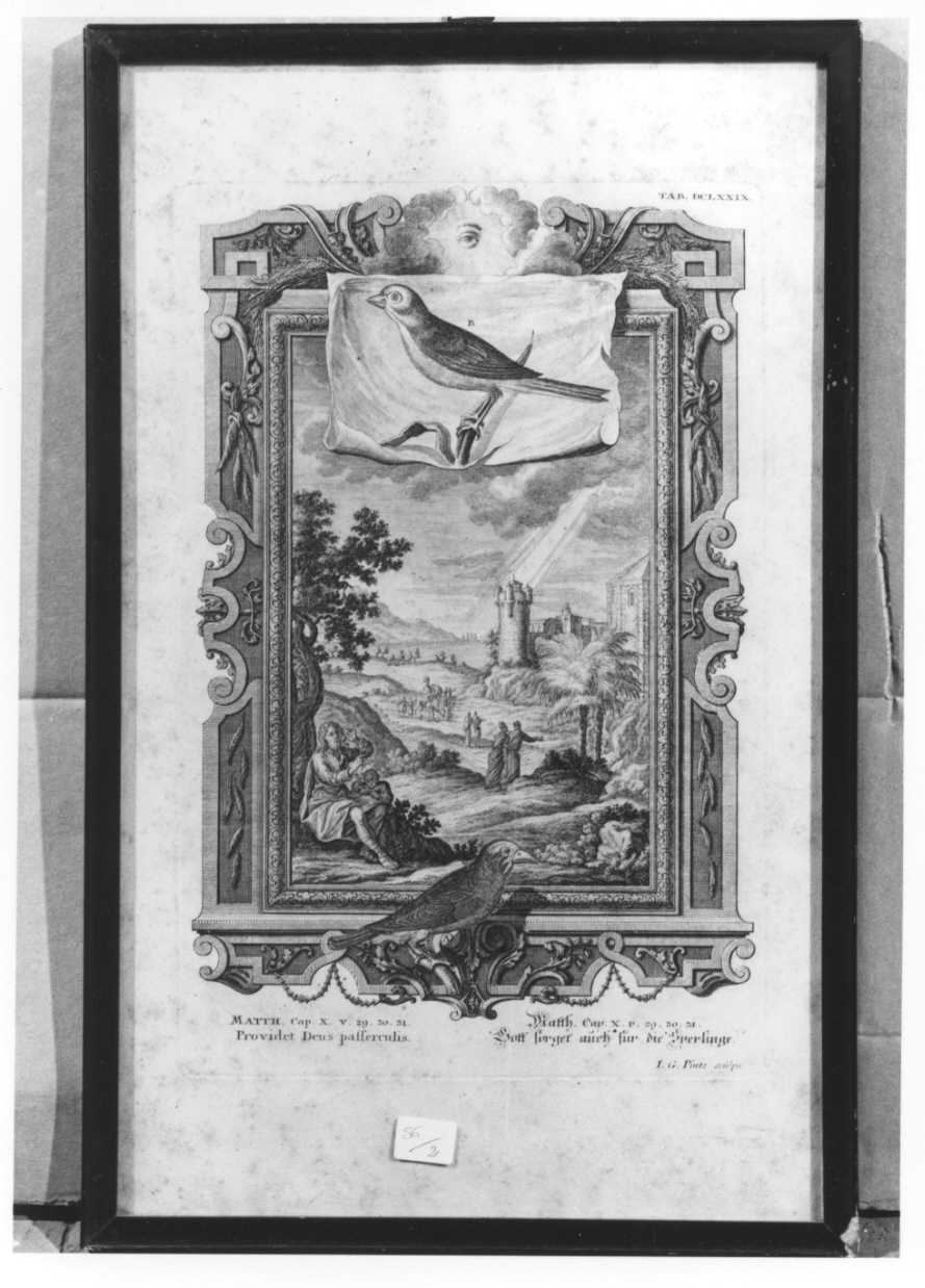 Divina Provvidenza verso gli animali (stampa, elemento d'insieme) di Pintz Johann Georg (secondo quarto sec. XVIII)