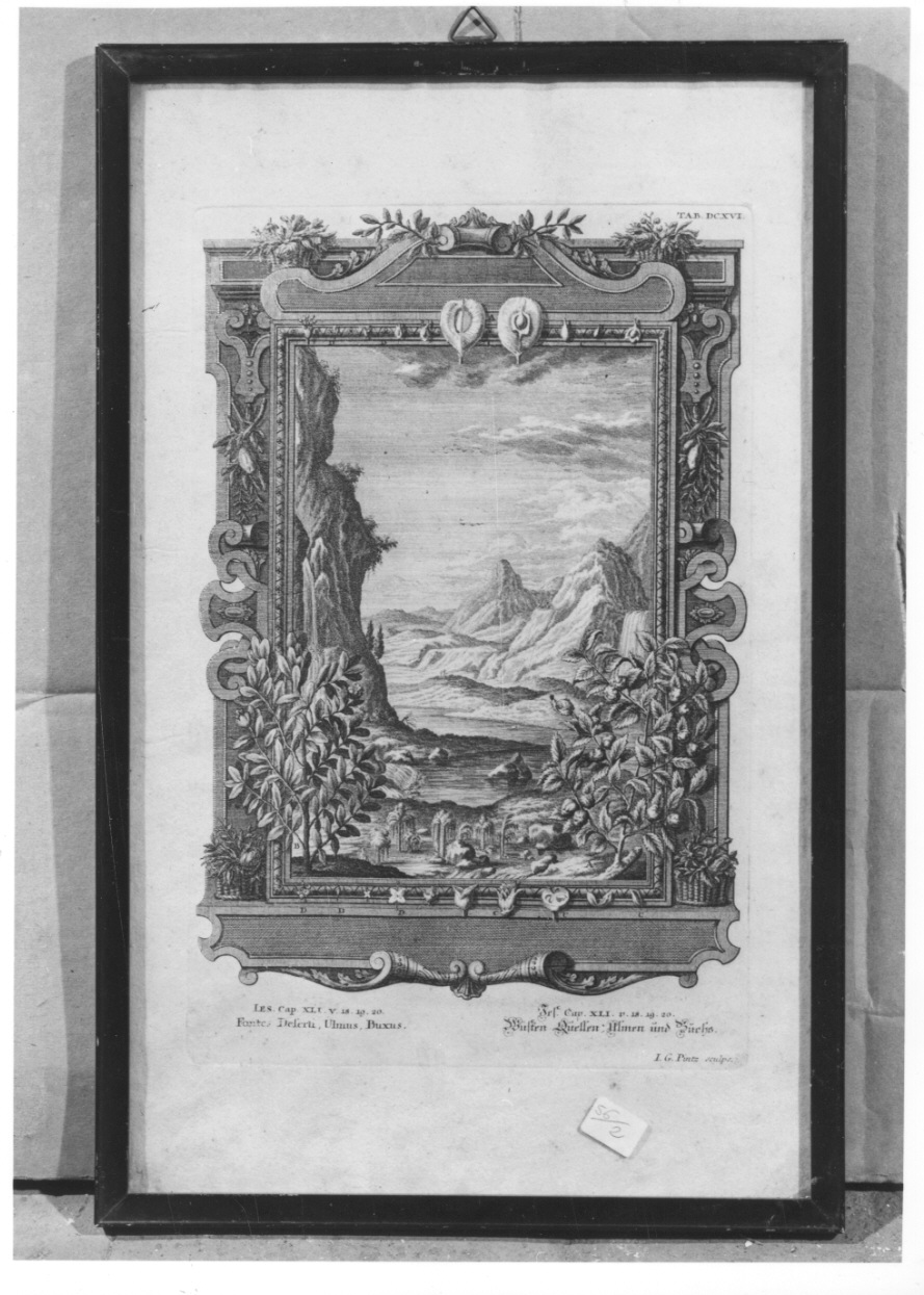 fonti del deserto (stampa, elemento d'insieme) di Pintz Johann Georg (secondo quarto sec. XVIII)