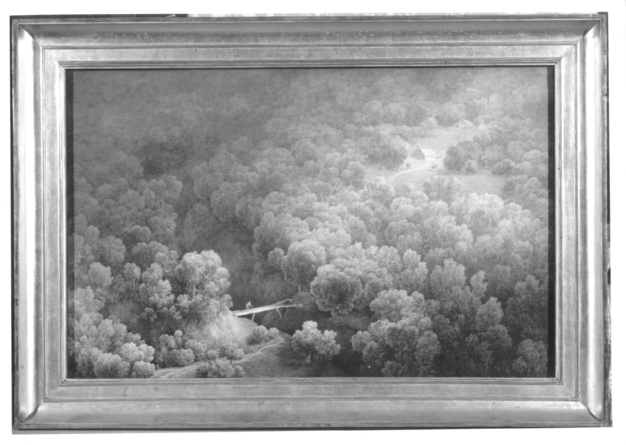 MONTAGNA ARBOREGGIATA, paesaggio montano (dipinto, opera isolata) di Bagetti Giuseppe Pietro (prima metà sec. XIX)