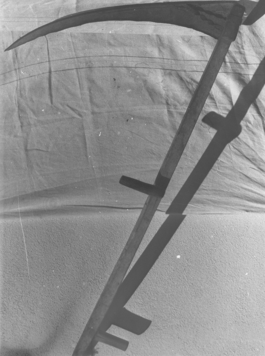 falce fienaia (falce) - ambito abruzzese (sec. XX)