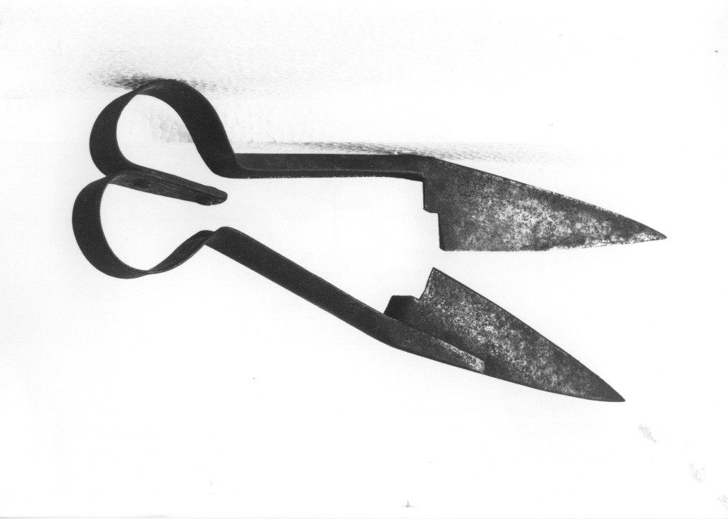 forbice da tosatura - ambito abruzzese (secc. XIX/ XX)