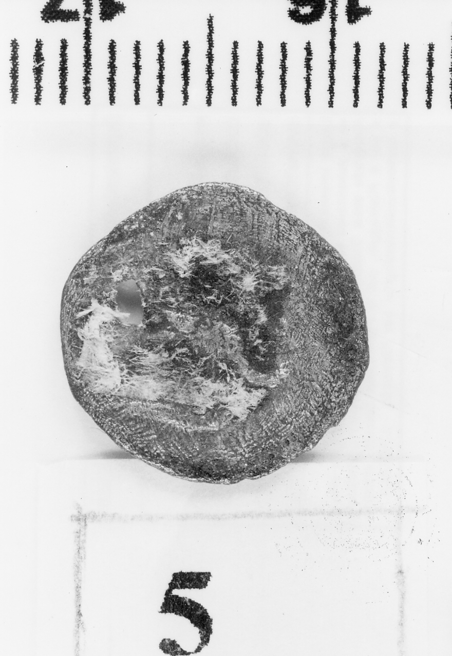 moneta - obolo (sec. III a.C)