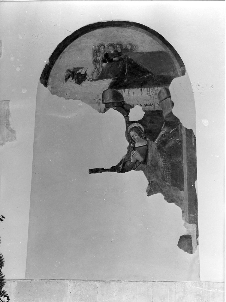 natività di Gesù (dipinto, frammento) - ambito Italia centrale (inizio sec. XVI)