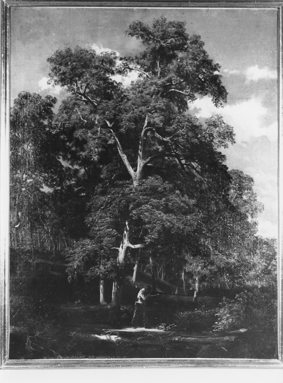 bosco a Cava dei Tirreni, scena di caccia (dipinto) di Palizzi Nicola (sec. XIX)