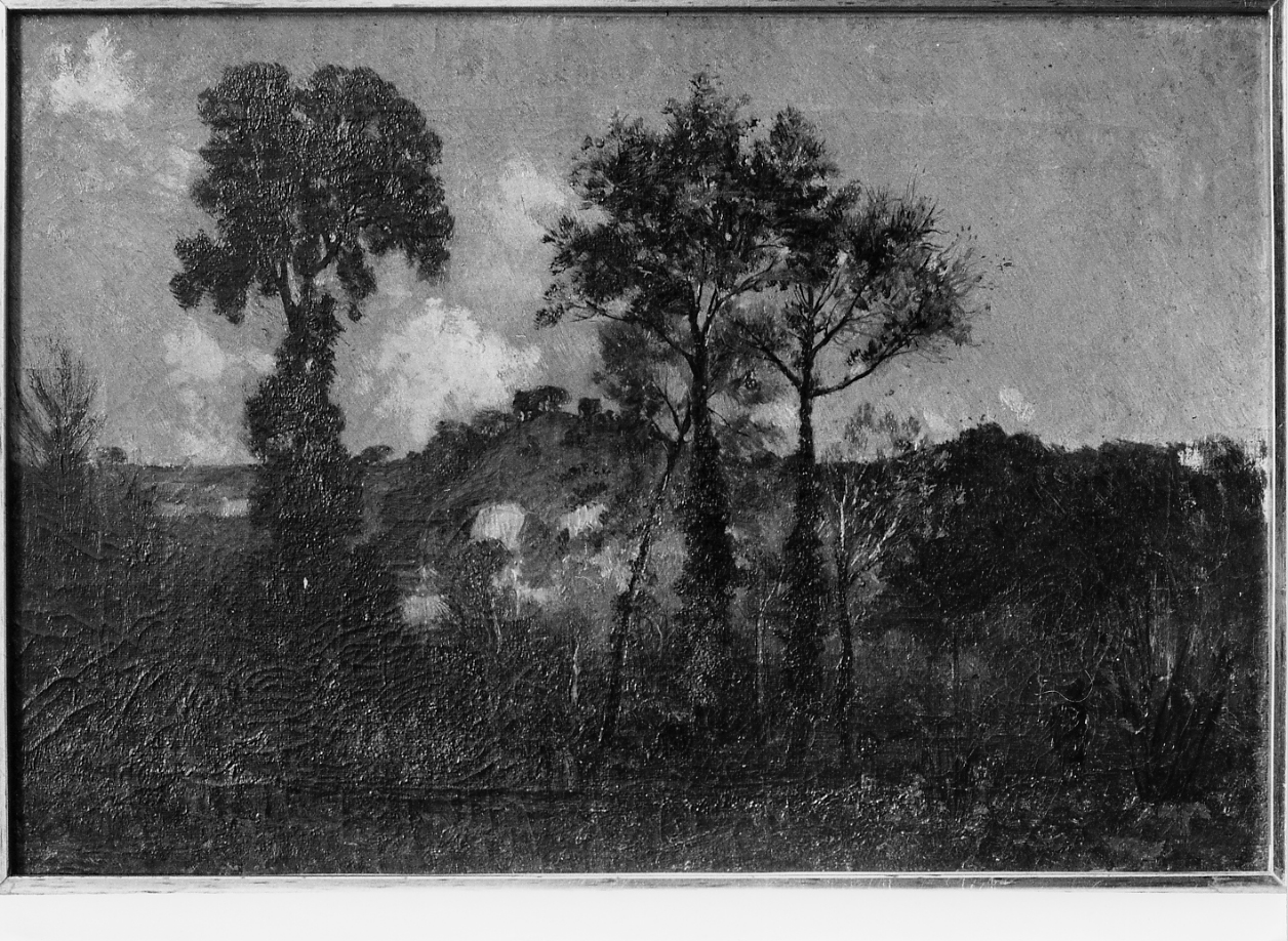 paesaggio (dipinto) di Palizzi Nicola (sec. XIX)