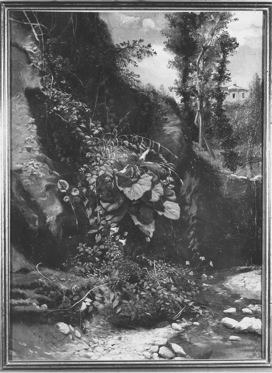 studio di piante, paesaggio (dipinto) di Palizzi Nicola (sec. XIX)