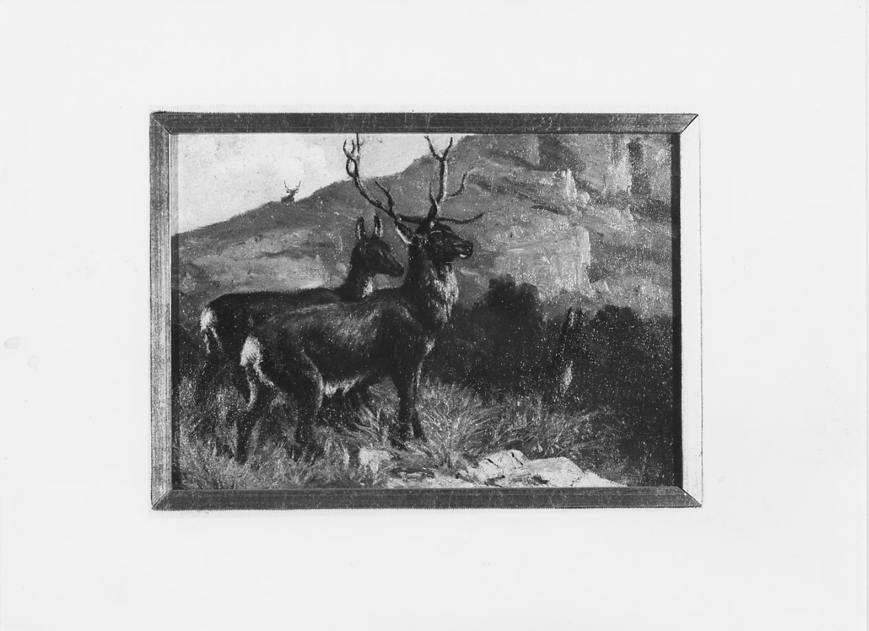 cervo maschio e femmina, cervi (dipinto) di Palizzi Nicola (sec. XIX)
