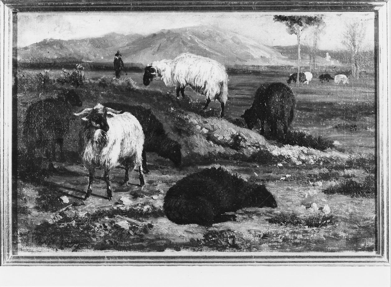 animali al pascolo, scena pastorale (dipinto) di Palizzi Nicola (sec. XIX)