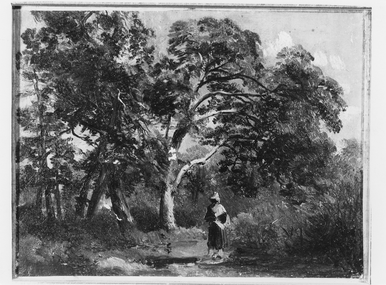 alberi, paesaggio (dipinto) di Palizzi Nicola (sec. XIX)