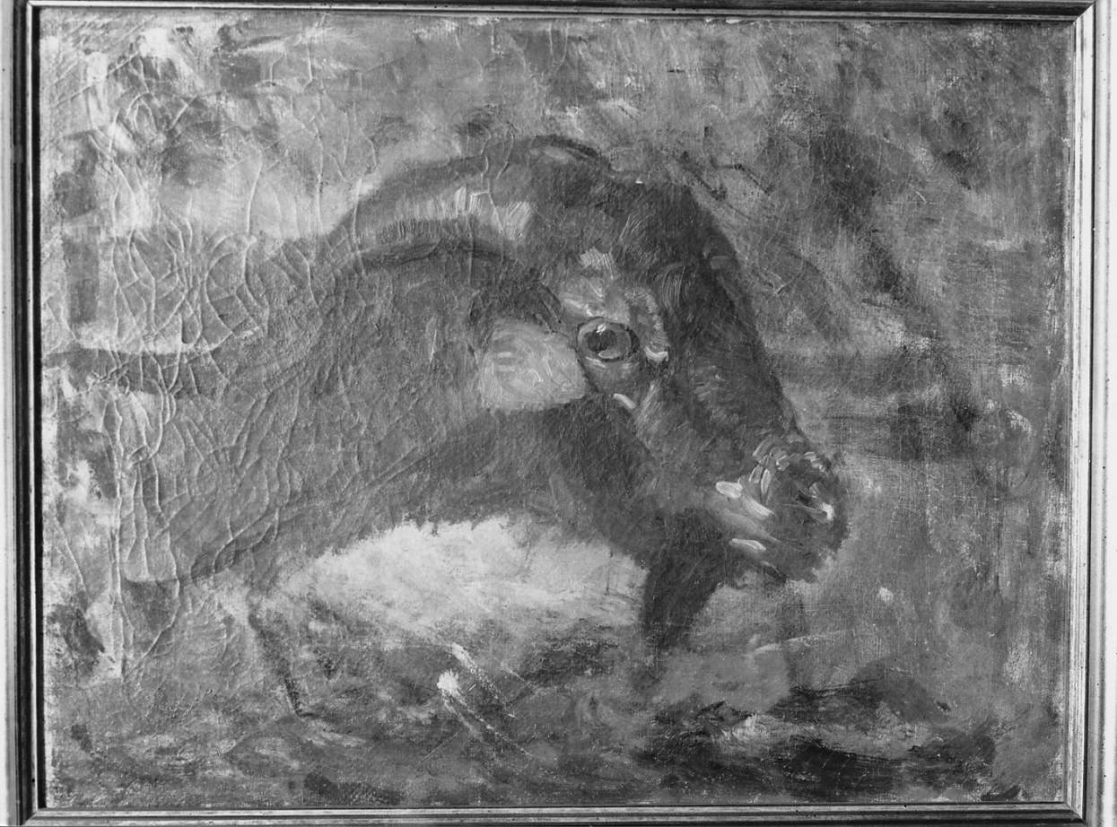 testa di caprone (dipinto) di Palizzi Filippo (sec. XIX)