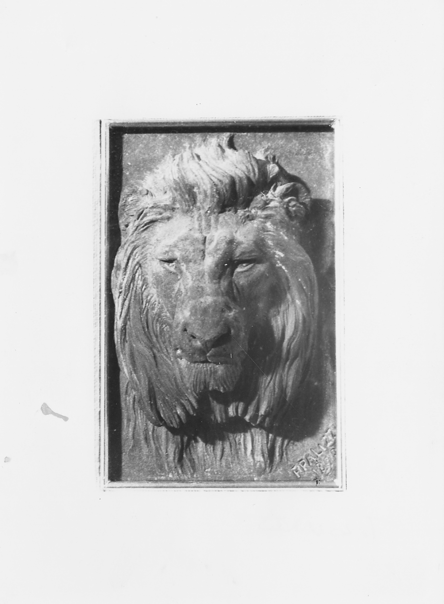 testa di leone (rilievo) di Palizzi Filippo (sec. XIX)