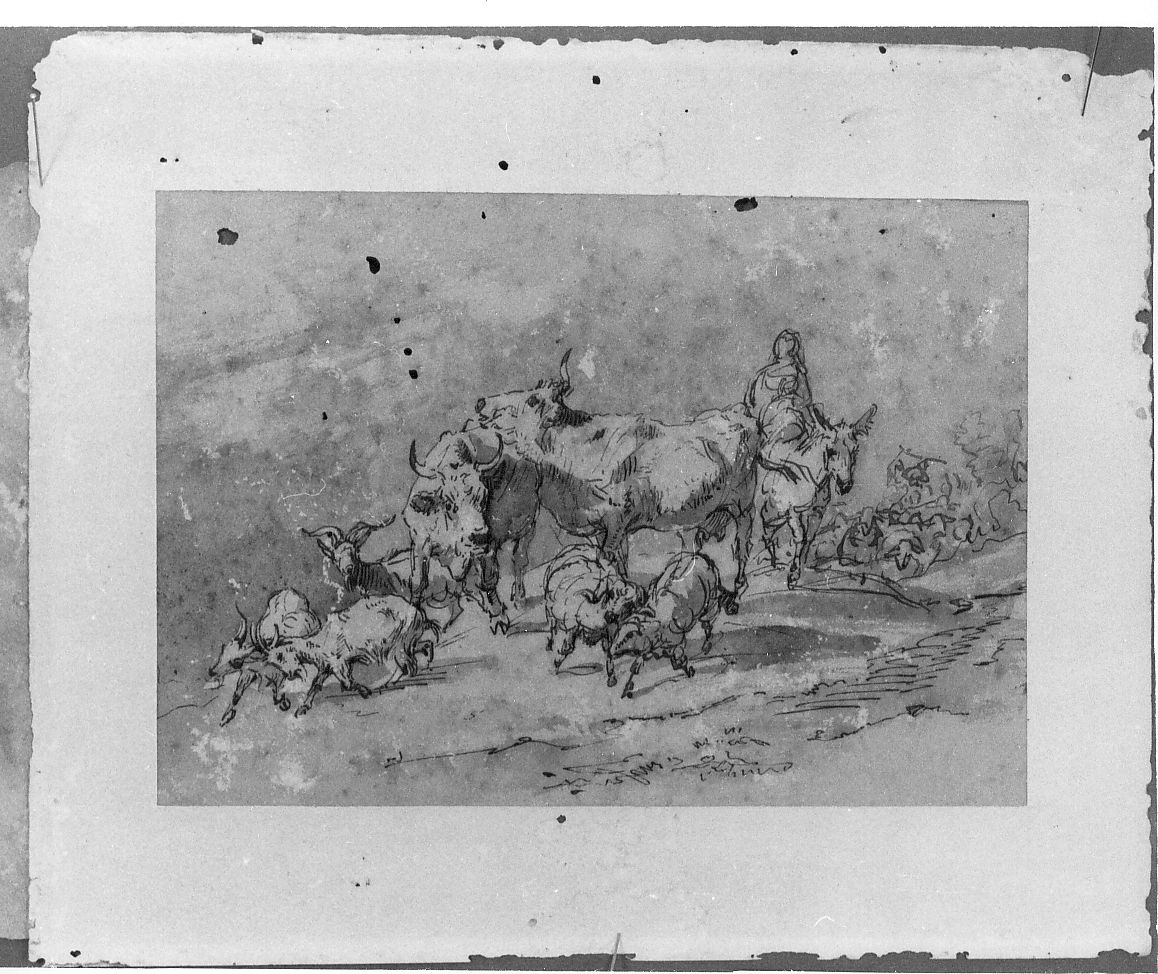 animali (dipinto) di Palizzi Filippo (sec. XIX)