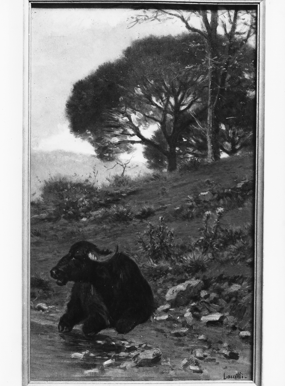 paesaggio con bufalo, paesaggio (dipinto) di Laccetti Valerico (fine/inizio secc. XIX/ XX)