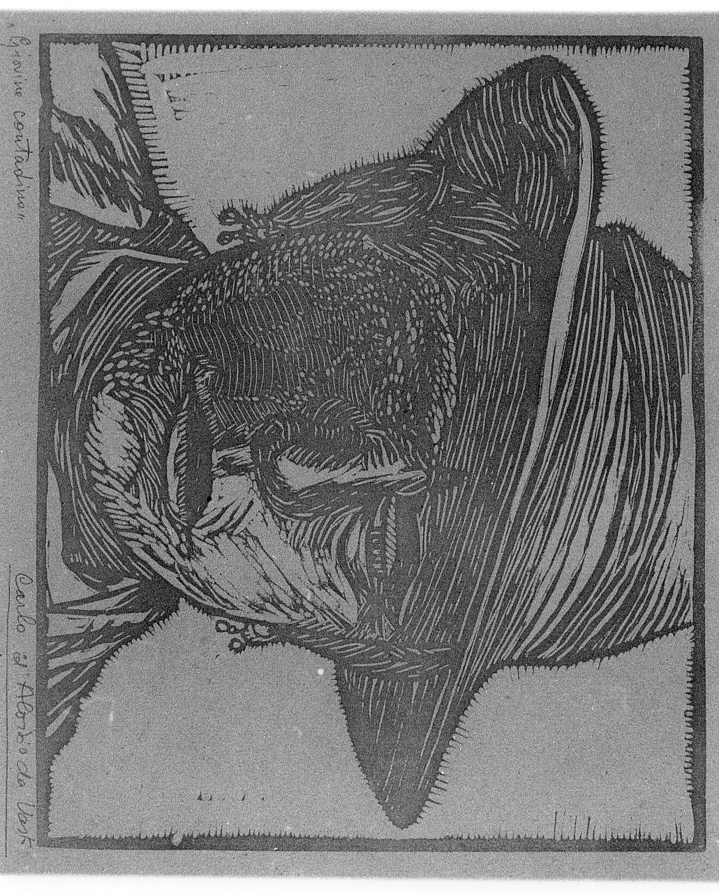 Giovine contadino, ritratto d'uomo (stampa) di D'Aloisio Carlo da Vasto (sec. XX)
