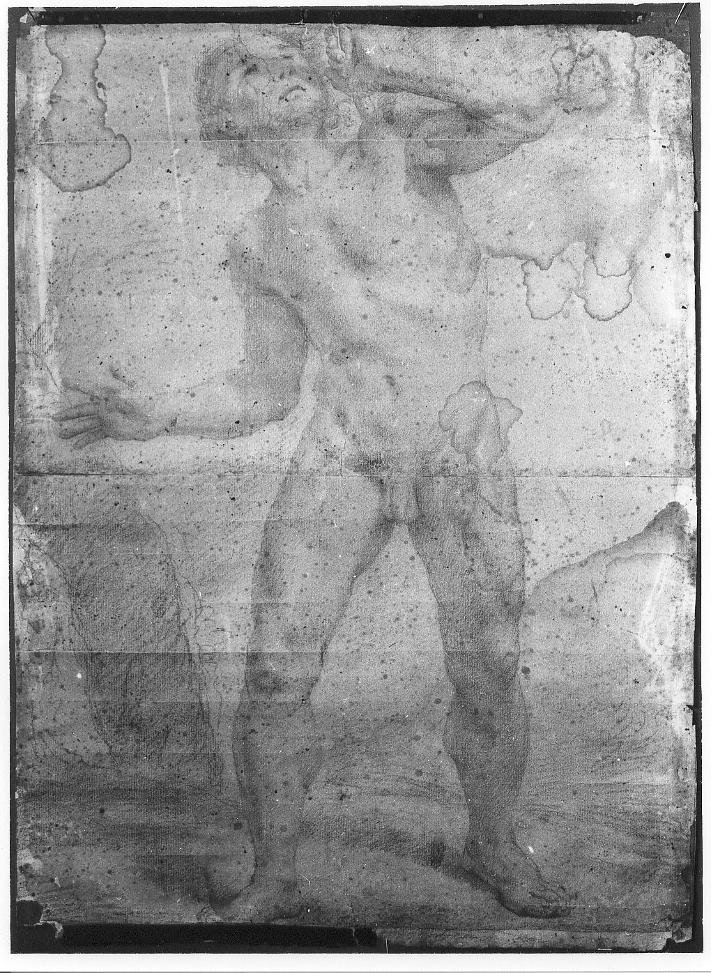 studio di nudo, figura maschile (disegno) di De Litiis Giulio Cesare (fine/inizio secc. XVIII/ XIX, sec. XIX)