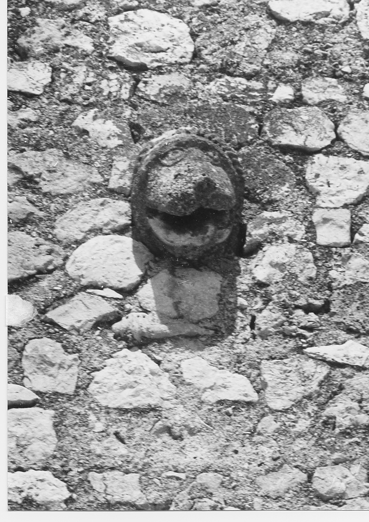 ANIMALE FANTASTICO (rilievo) - ambito Italia centrale (sec. XII)