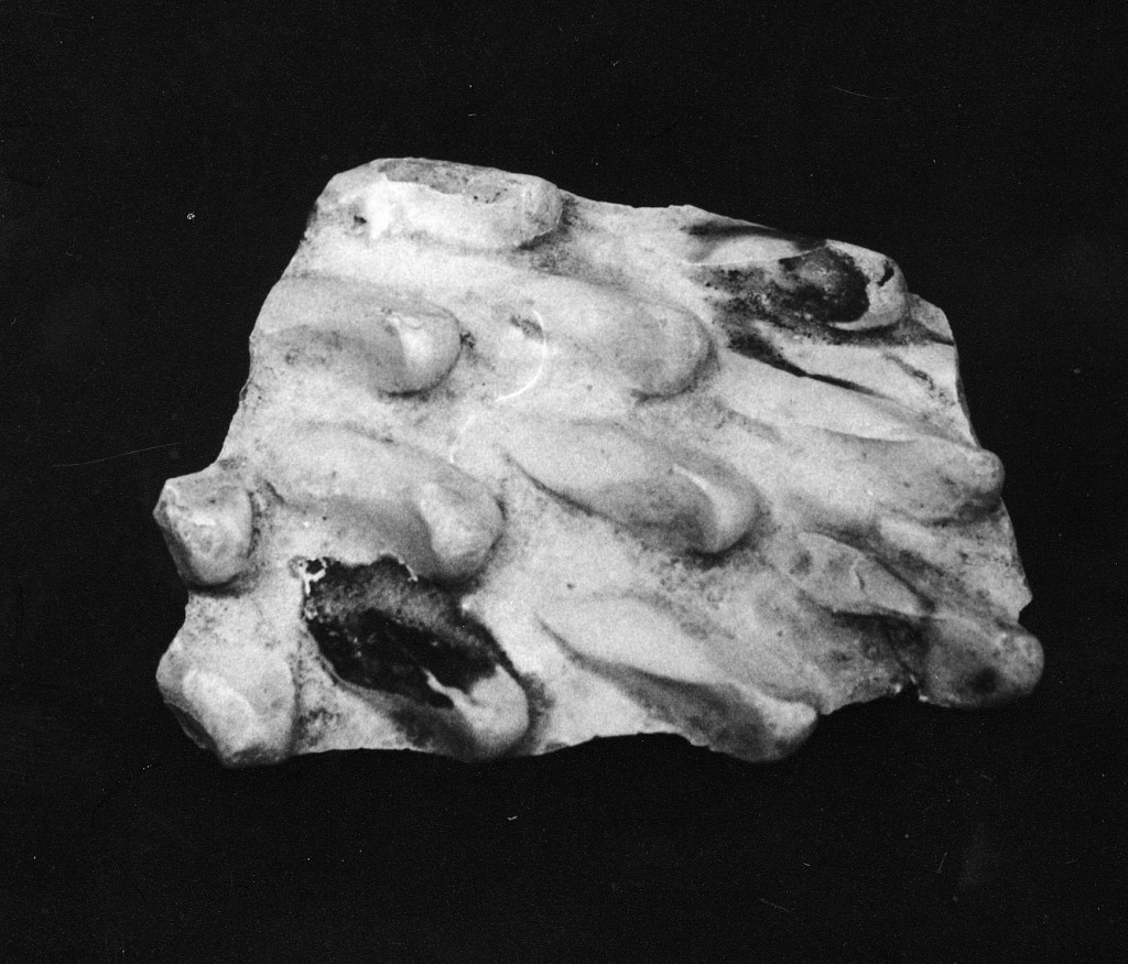 Motivo decorativo a rilievo (parete di forma chiusa, frammento) - manifattura umbra (sec. XVI)