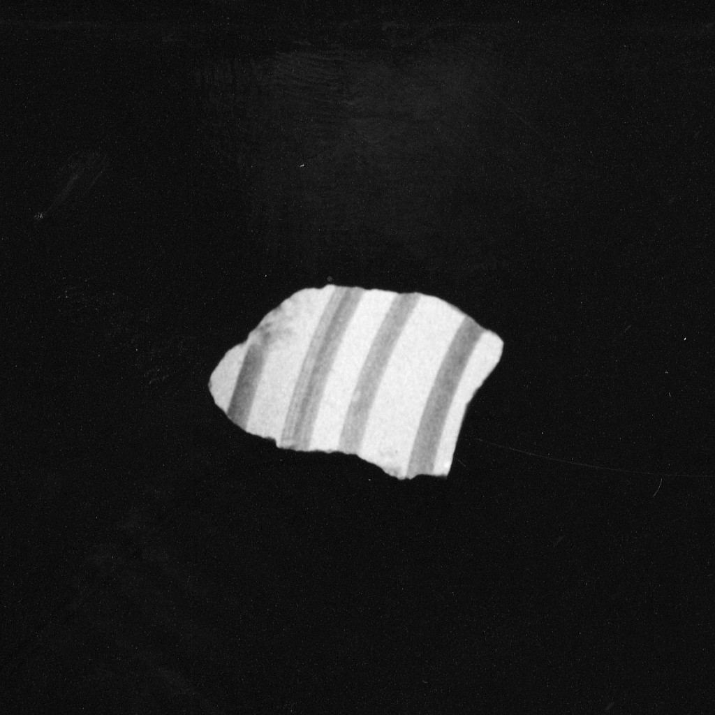 Motivo decorativo (parete di forma chiusa, frammento) - manifattura abruzzese (fine/inizio secc. XVI/ XVII)