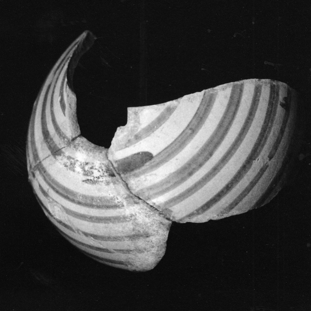 Motivo decorativo (corpo di forma chiusa, frammento) - manifattura abruzzese (fine/inizio secc. XVI/ XVII)