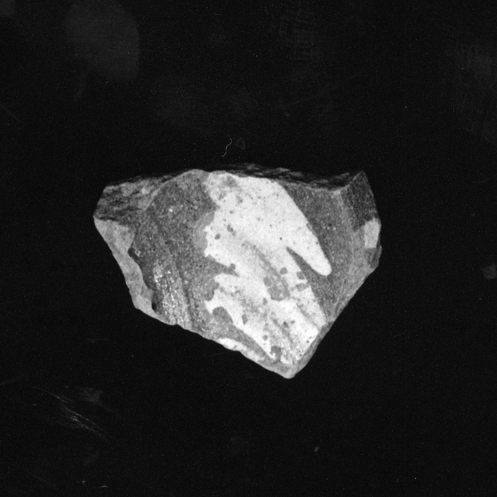 Motivo decorativo (parete di forma aperta, frammento) - manifattura abruzzese (fine/inizio secc. XVII/ XVIII)