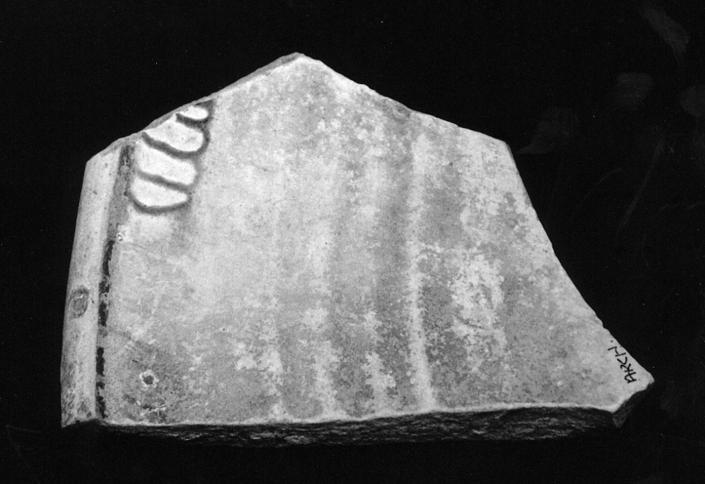 Motivo decorativo (parete ed orlo di catino, frammento) - manifattura abruzzese (fine/inizio secc. XV/ XVI)