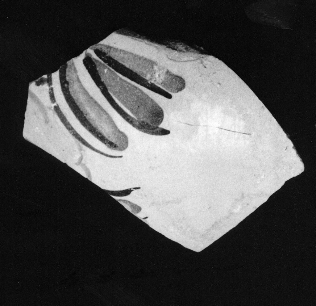 Motivo decorativo vegetale (parete di forma chiusa, frammento) - manifattura abruzzese (sec. XVIII)