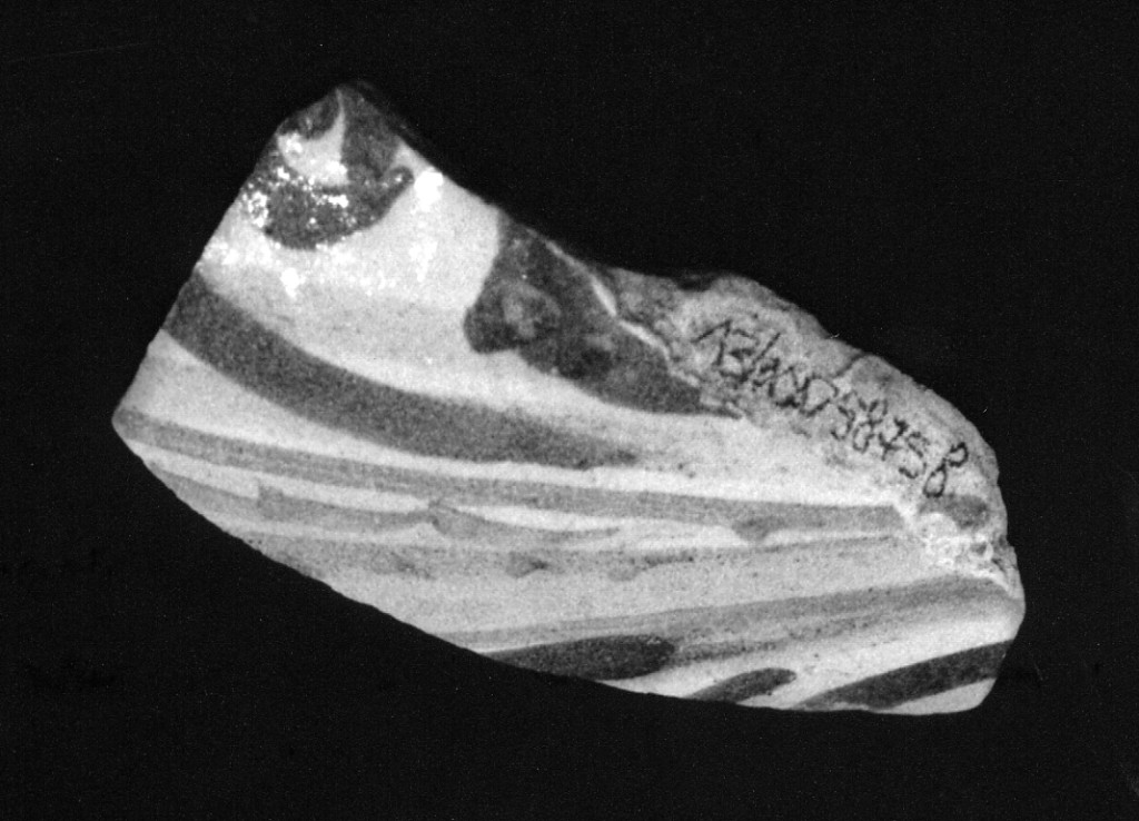 Motivo decorativo (parete di forma chiusa, frammento) - manifattura abruzzese (sec. XVIII)