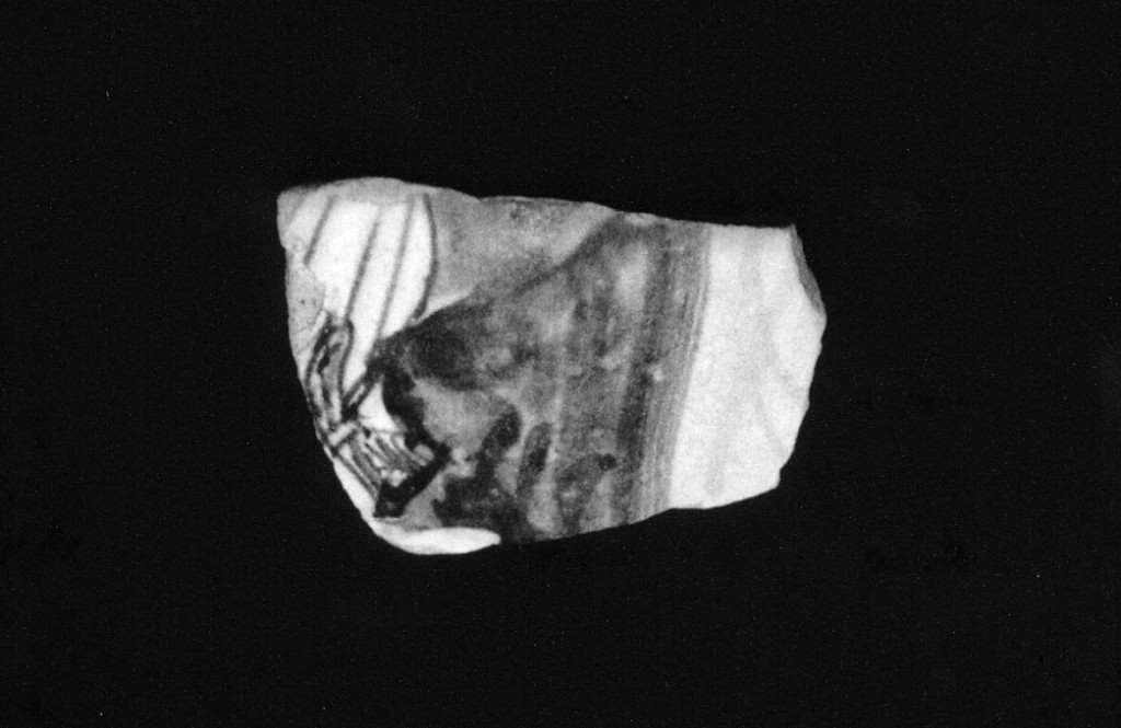 Motivo decorativo (parete di forma chiusa, frammento) - manifattura abruzzese (fine/inizio secc. XVI/ XVII)