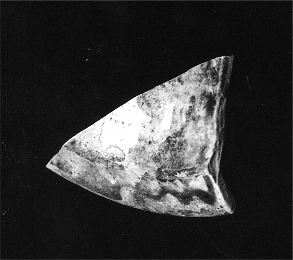 Motivo decorativo (parete e tesa di scodella, frammento) - manifattura abruzzese (fine/inizio secc. XV/ XVI)