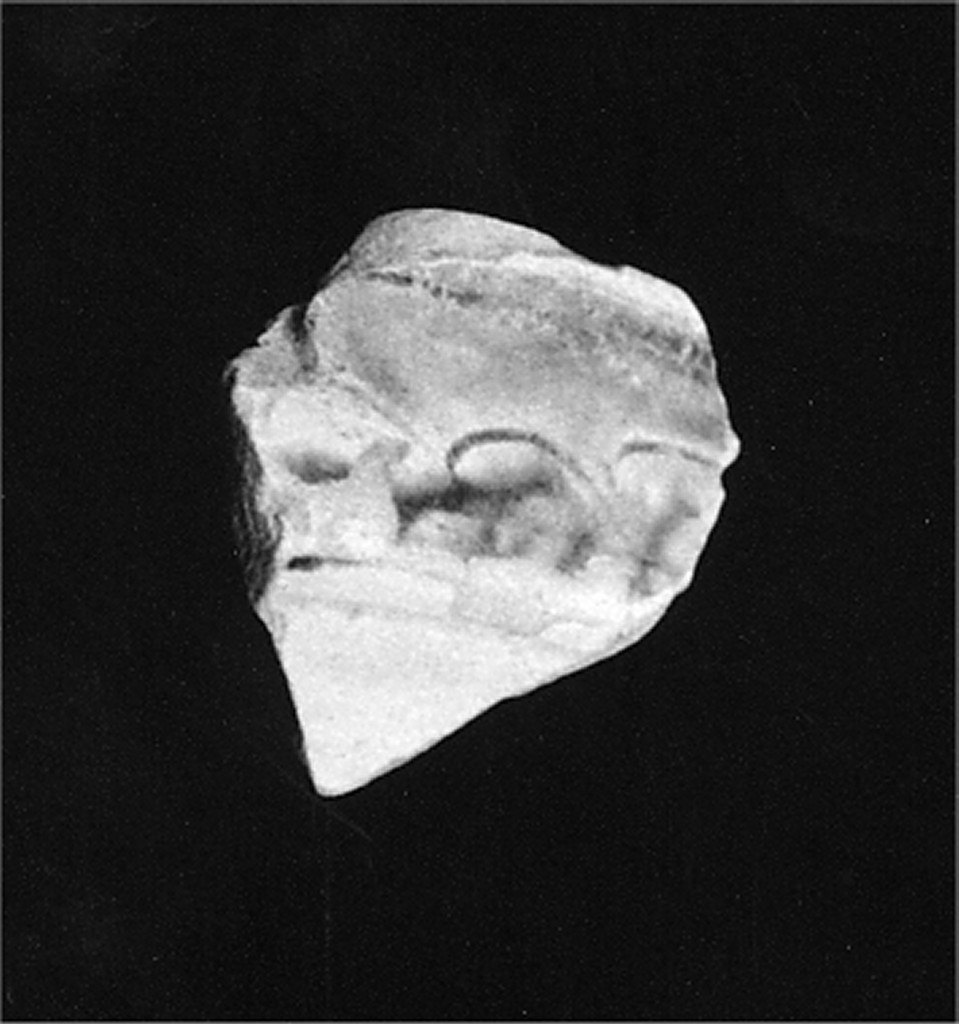 Motivo decorativo (tesa di piatto e cavetto, frammento) - manifattura abruzzese (fine/inizio secc. XV/ XVI)