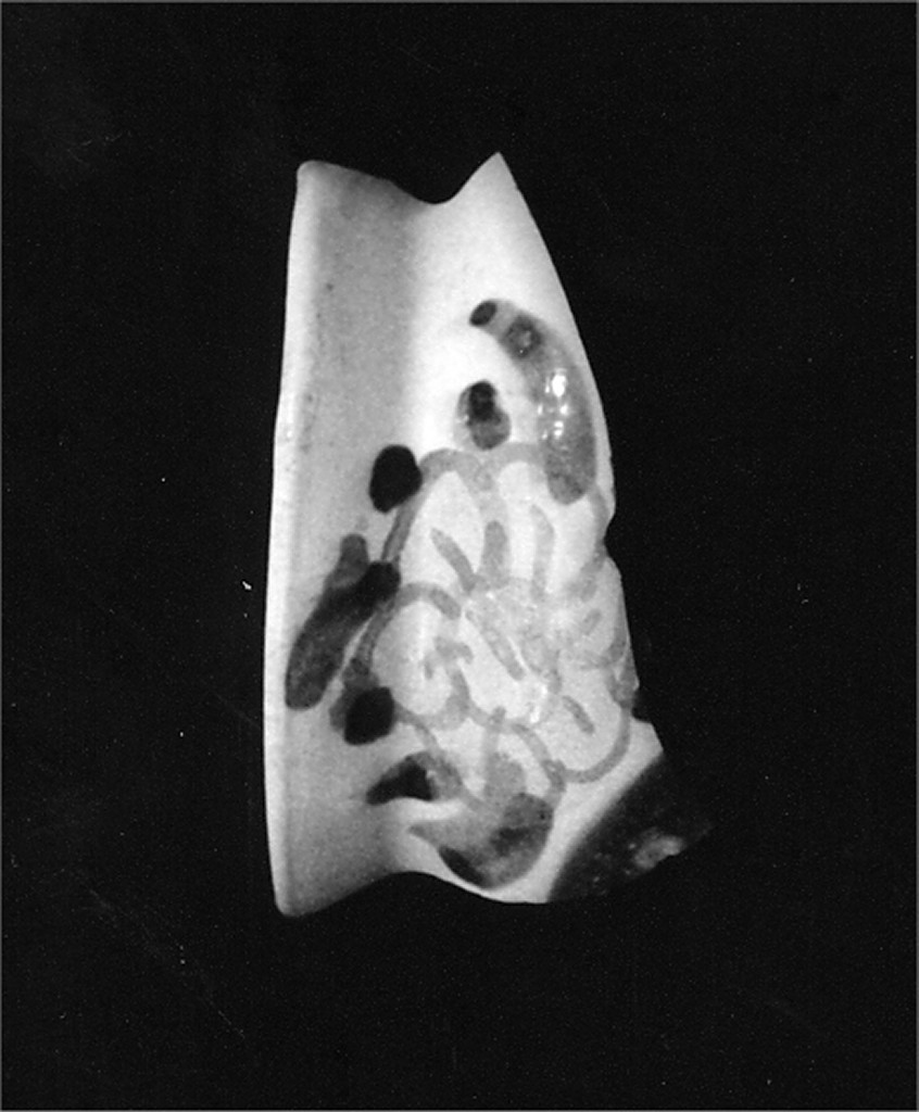 Motivo decorativo floreale (parete con orlo di vasetto, frammento) - manifattura abruzzese (fine/inizio secc. XVIII/ XIX)