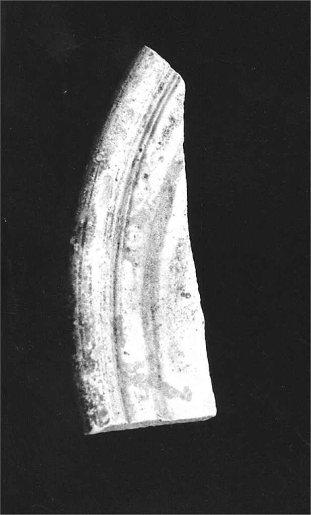 Motivo decorativo (orlo di ciotola, frammento) - manifattura abruzzese (fine/inizio secc. XV/ XVI)