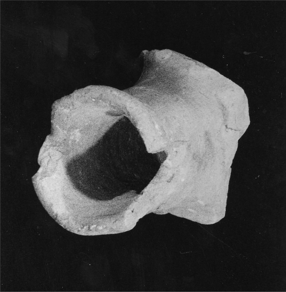 presa di coperchio di testo, frammento - manifattura abruzzese (fine/inizio secc. XVIII/ XIX)